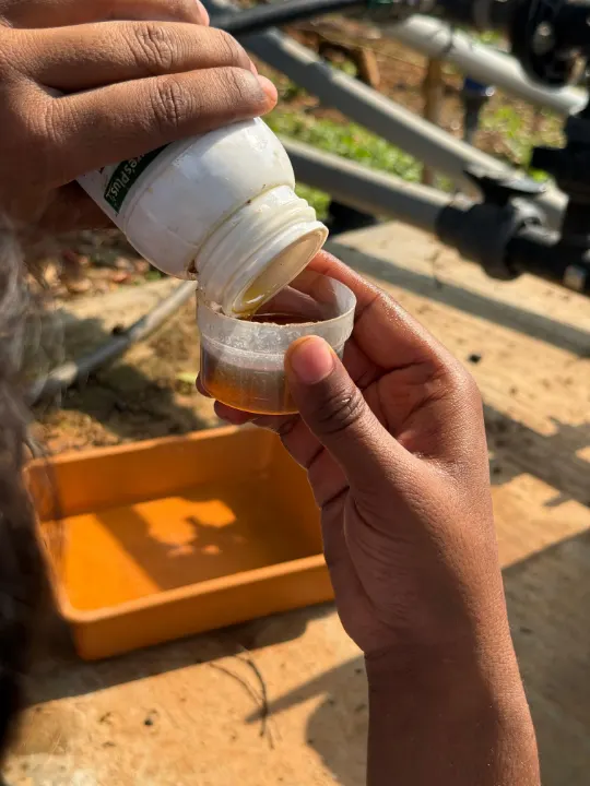 A dose of liquid poured into a small cup over a tray