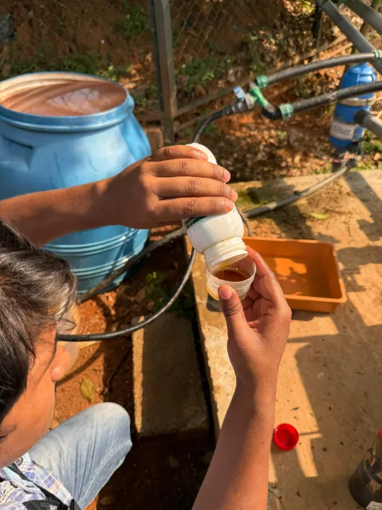 A dose measured into a cup beside the drip line, so nothing is wasted