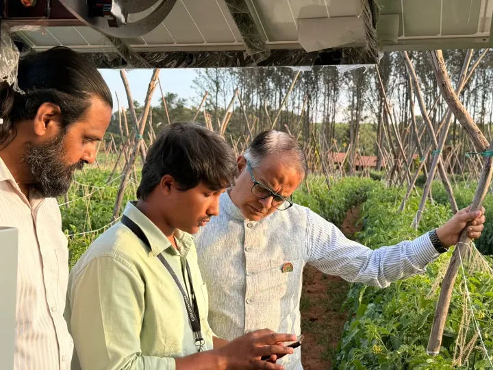 CropNow and farmers looking closely at the crop, one holding a phone